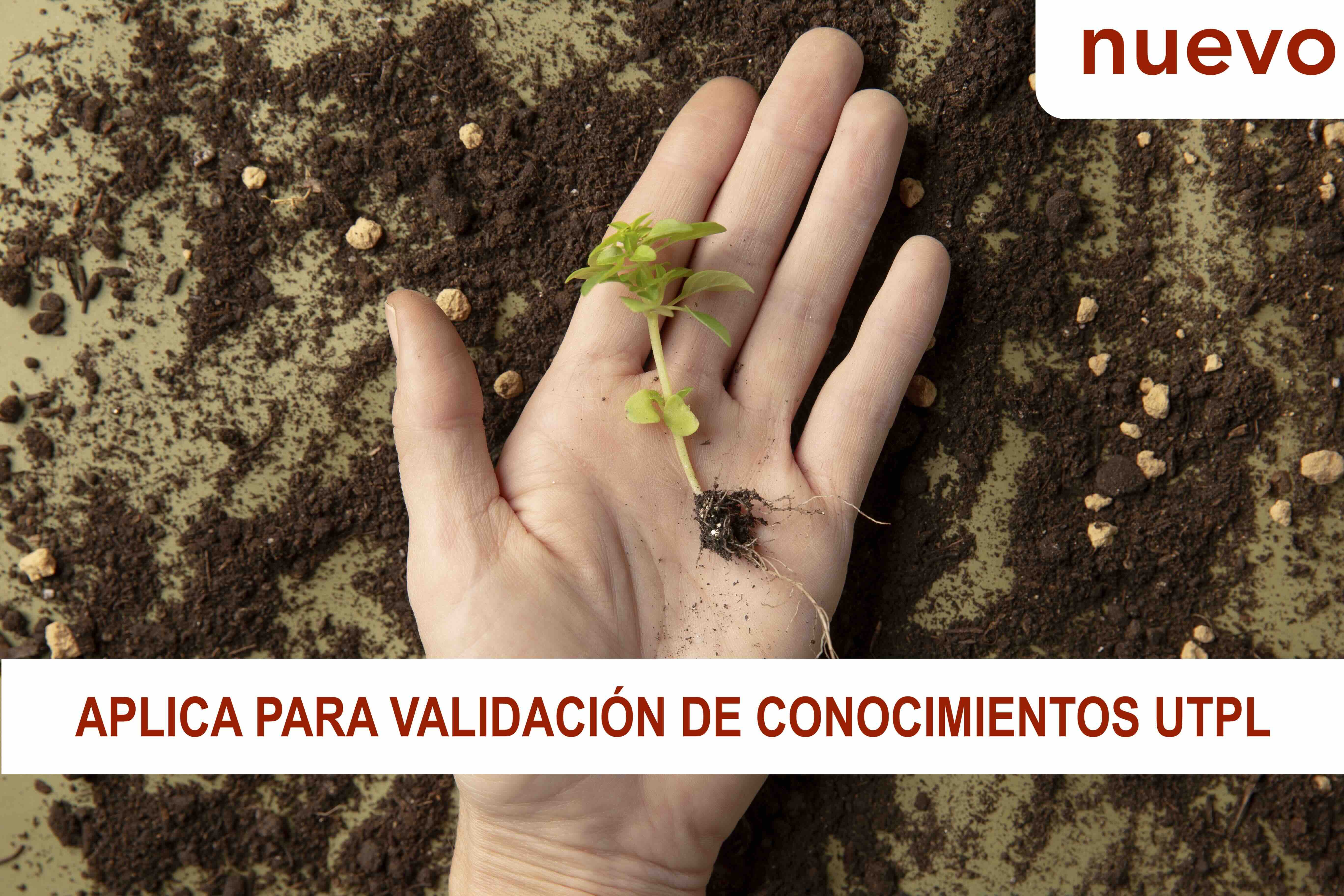 Manejo del recurso suelo (Edición 23) SRM23